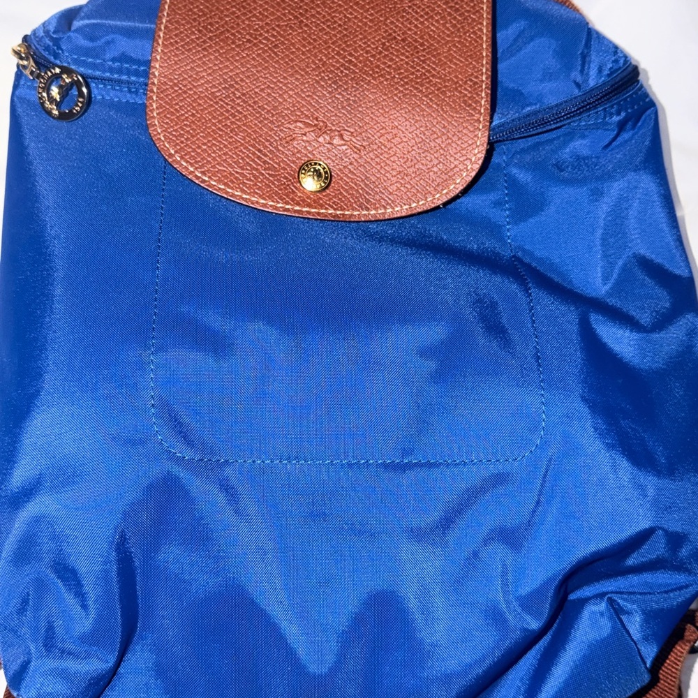 Longchamp Black and Blue Bag